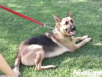 India Summer taking great care of sascha koch's pipe