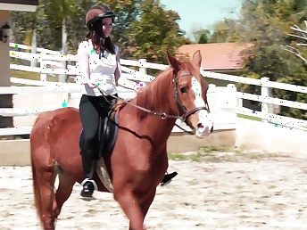 Sinn Knowledgeable and her stunning lesbian comrade rub down each other's men on a troublesome pony